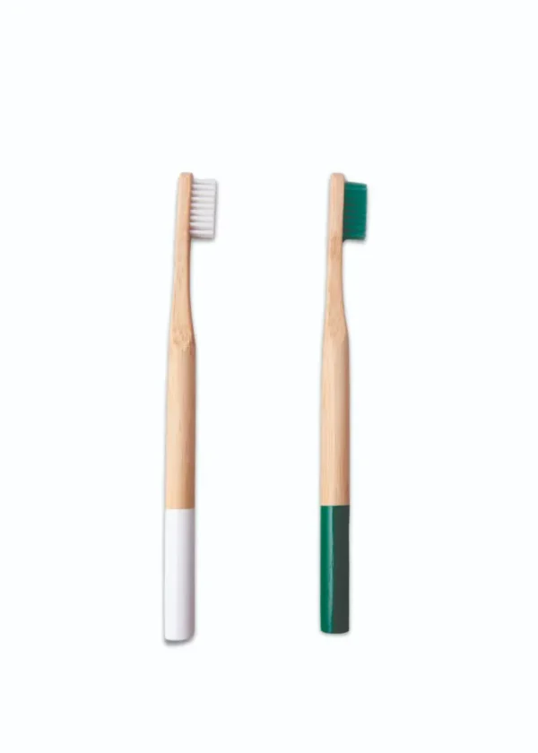 Cepillo dental para adulto mango redondo