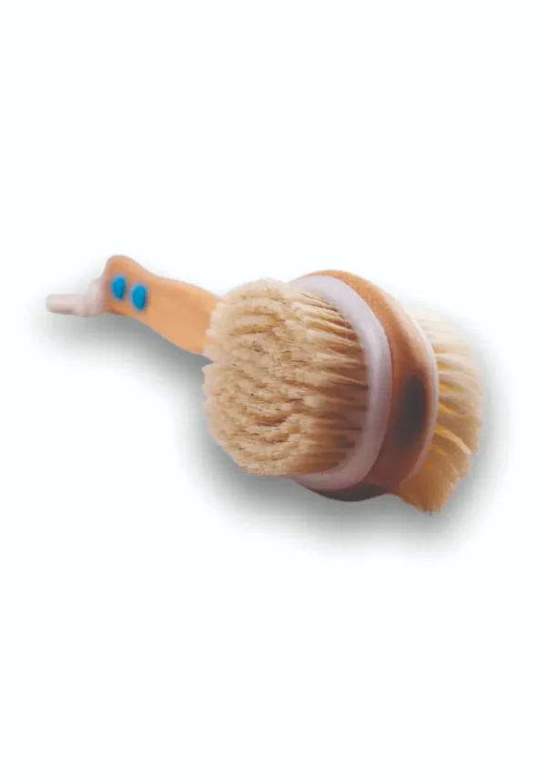 Cepillo para ducha de doble cara